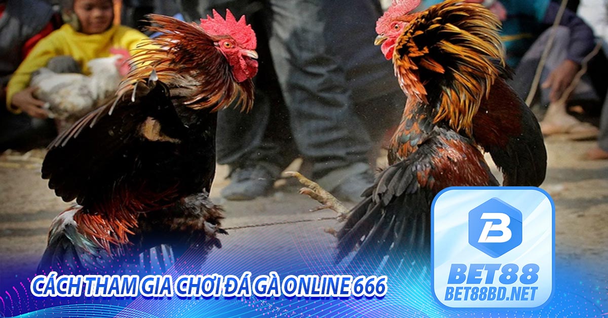 Cách tham gia chơi đá gà online 666